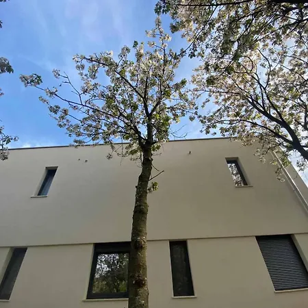Mi, Opatija Riviera Βίλα