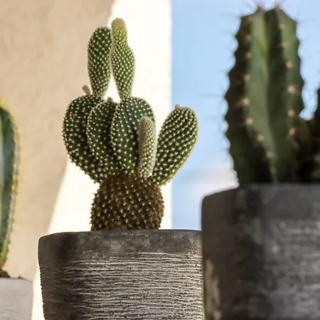 Mi, Opatija Riviera Villa Rukavac (Primorje-Gorski Kotar)